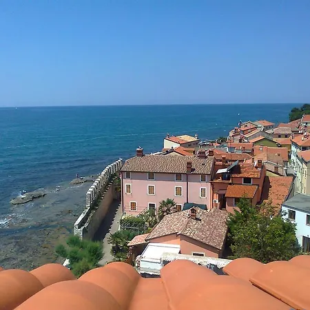 Apartments Edo Novigrad  Exterior photo
