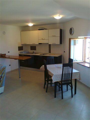 Apartment Edo